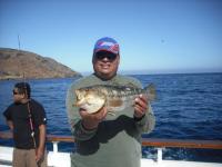 Limit of calico bass 